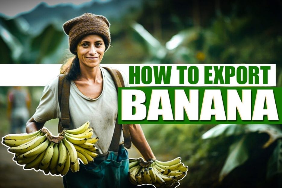 Basic Fundamentals of Export-Import Business – Global Fortune Academy